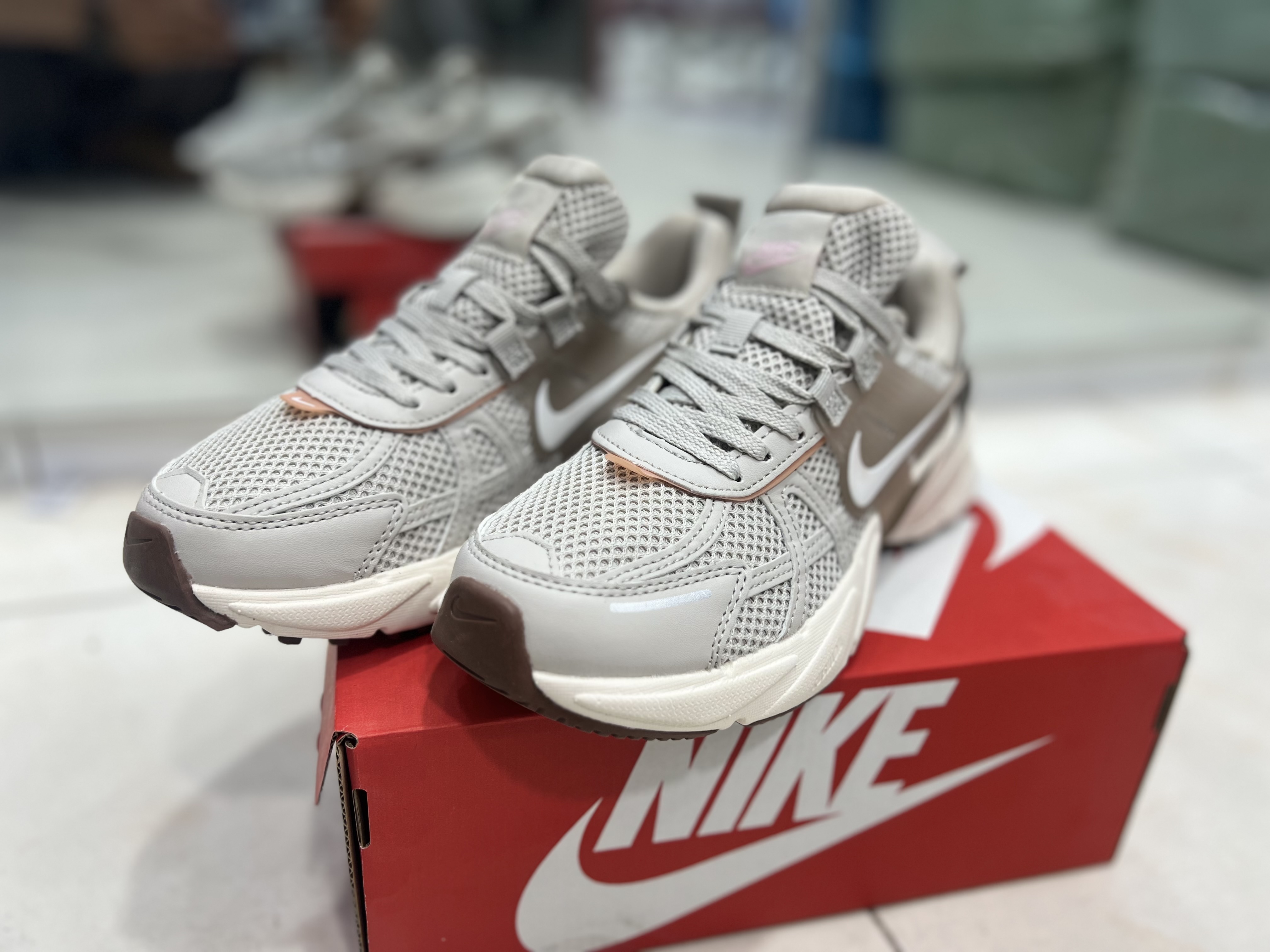 دارای سیستم تنفسی